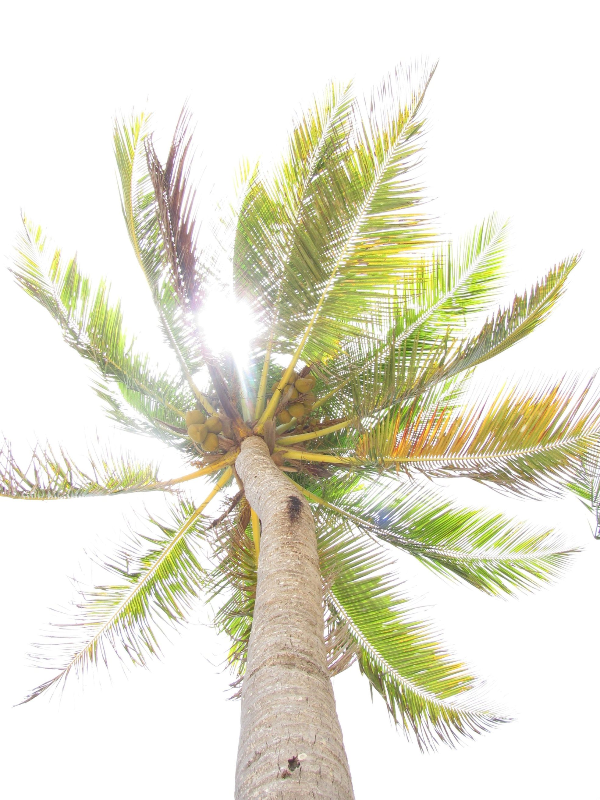 playa_macao_2012-06-23-13-27-47