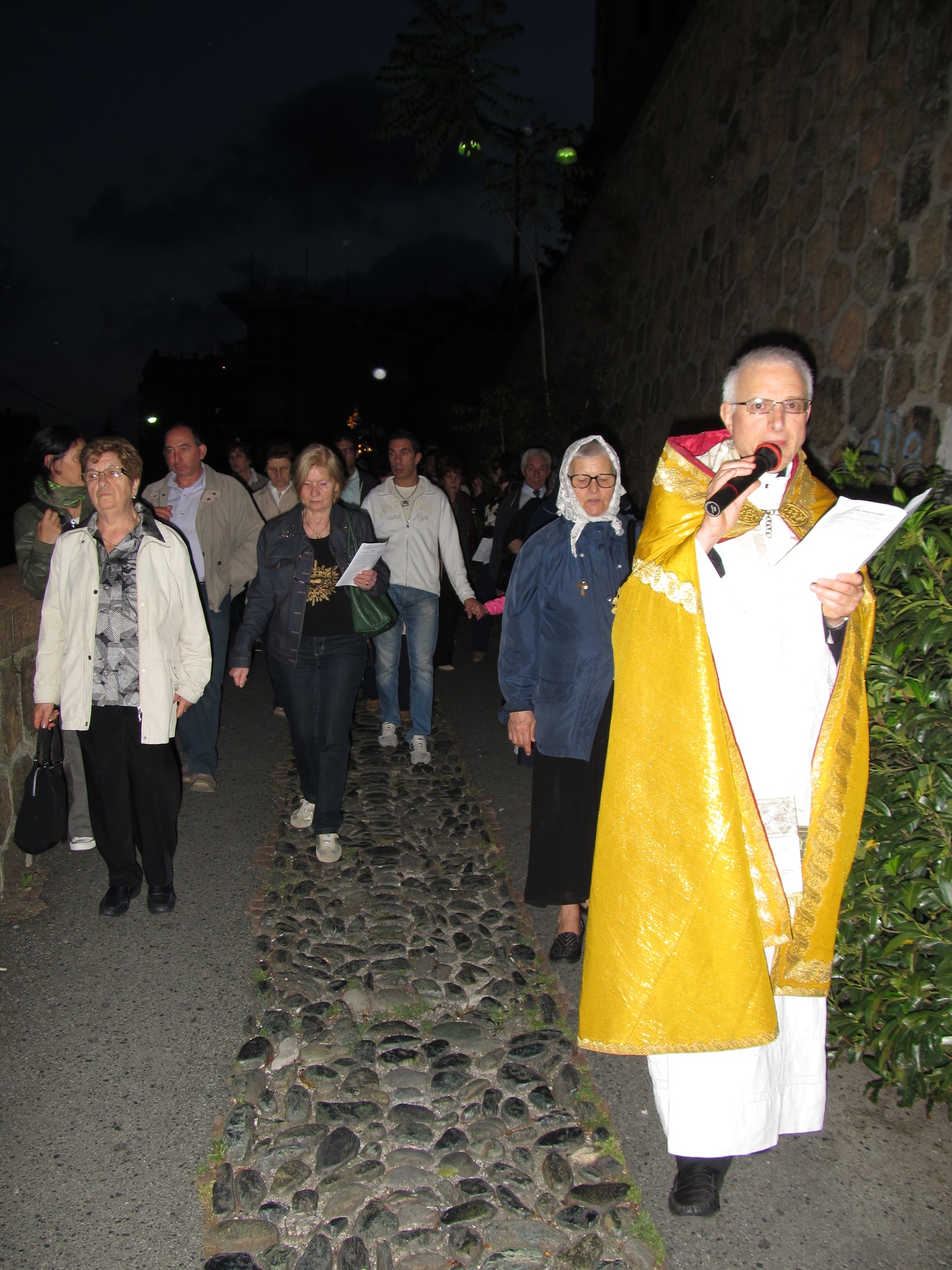 processione-madonna-2015-05-31-21-22-58
