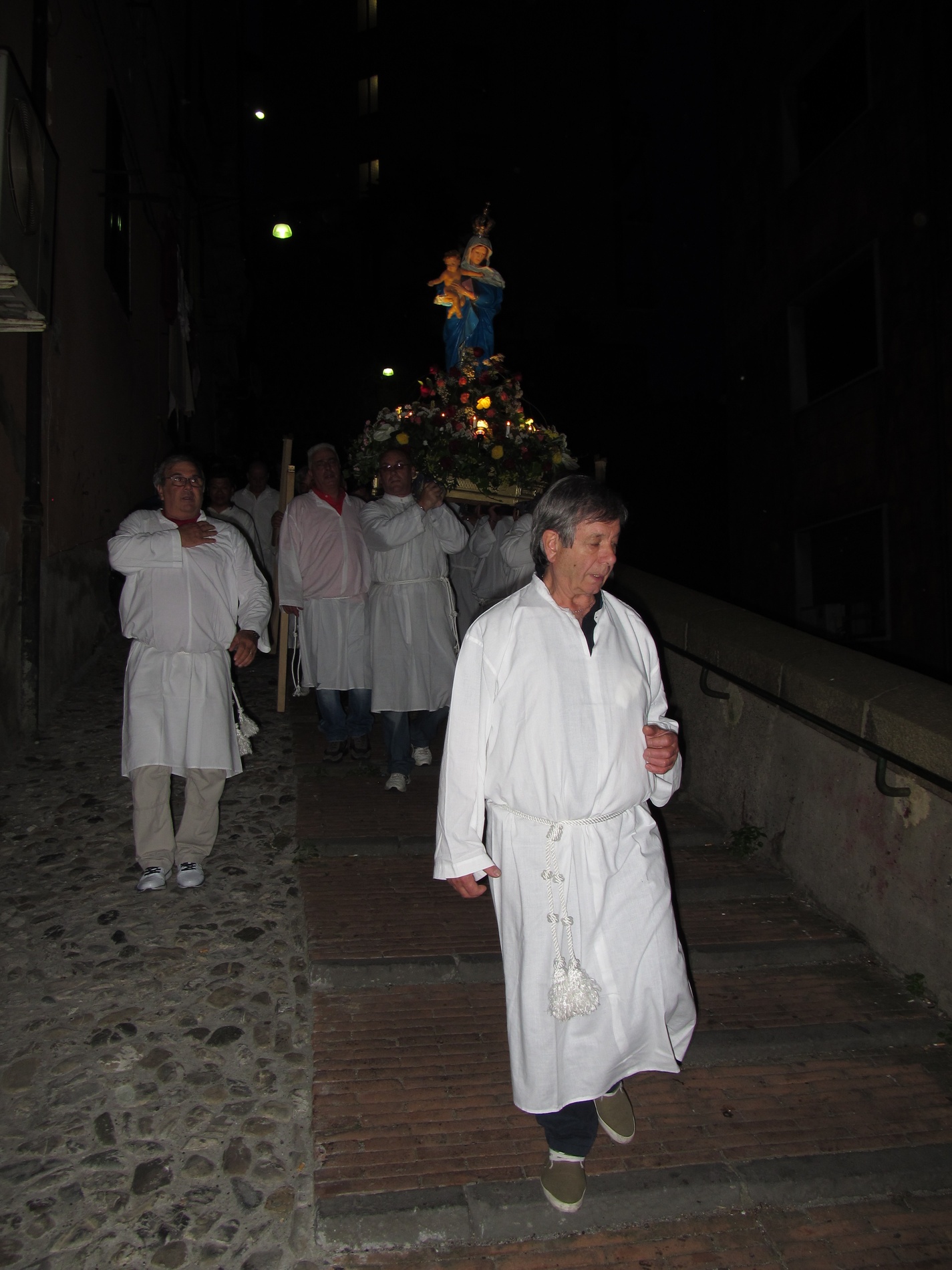 processione-madonna-2015-05-31-21-29-43